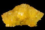 Sunshine Cactus Quartz Crystal Cluster - South Africa #132889-1